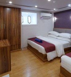 Lower Deck Twin cabin - double bed