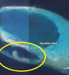 Hanifaru Bay, Maldives @ hellomaldives.com