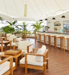 SAFARI Island - PALM Bar